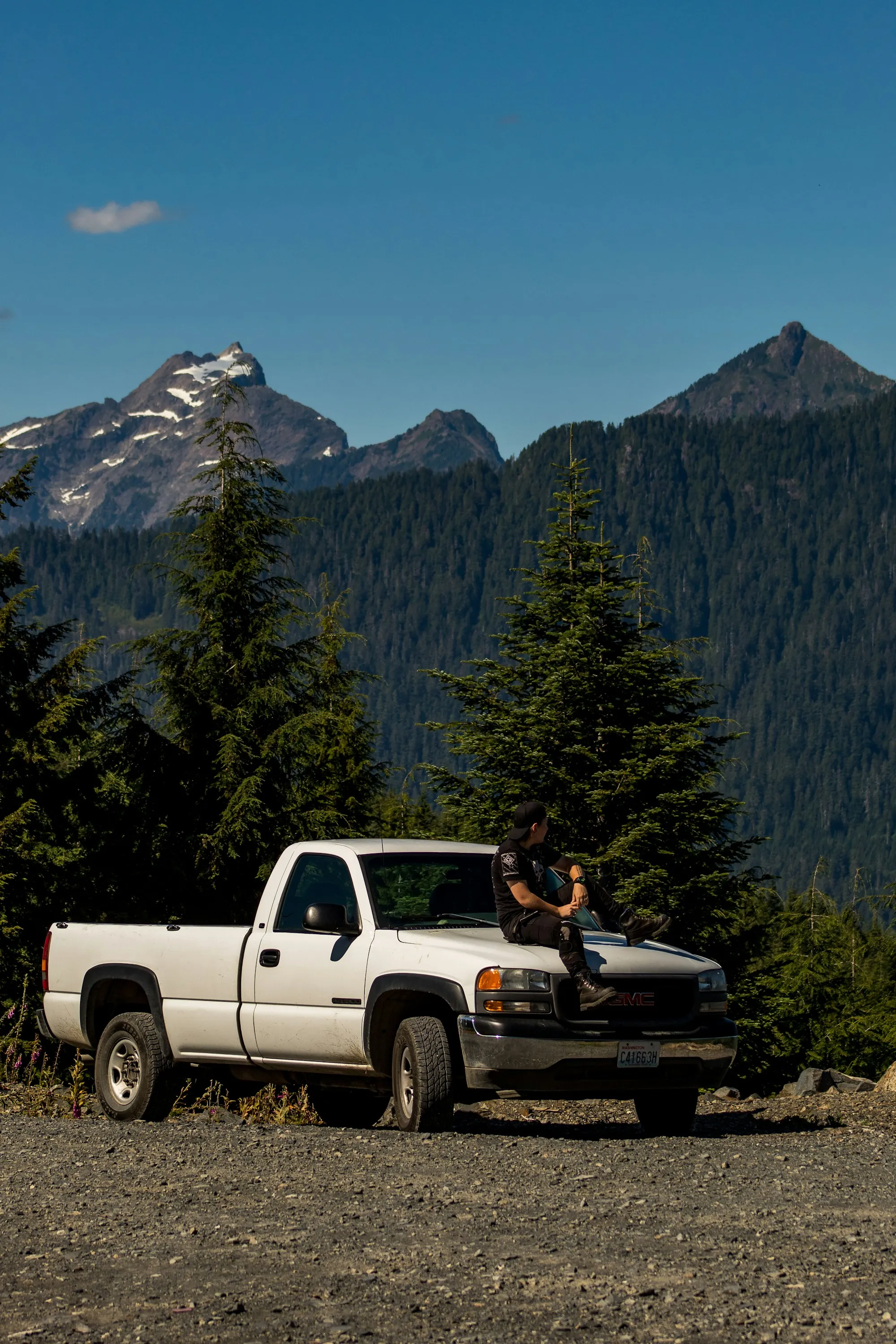 Pickup truck parked beside pine trees on a mountain road